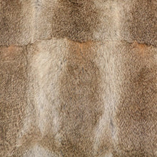 Load image into Gallery viewer, cambridge cushion - natural large