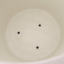 Load image into Gallery viewer, ribbed ray planter - white (medium)