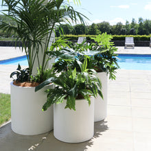 Load image into Gallery viewer, weathered ray planter - white (large)