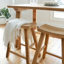 Load image into Gallery viewer, parq barstool