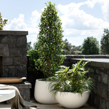 Load image into Gallery viewer, rob's round planter - white (medium)