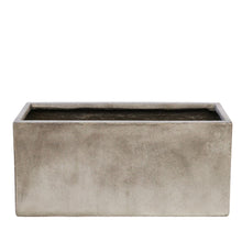 Load image into Gallery viewer, weathered rex planter (large)