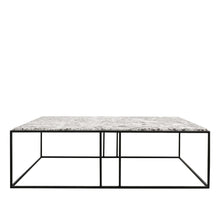 Load image into Gallery viewer, dion&#39;s marble coffee table - alaska
