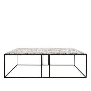 dion's marble coffee table - alaska